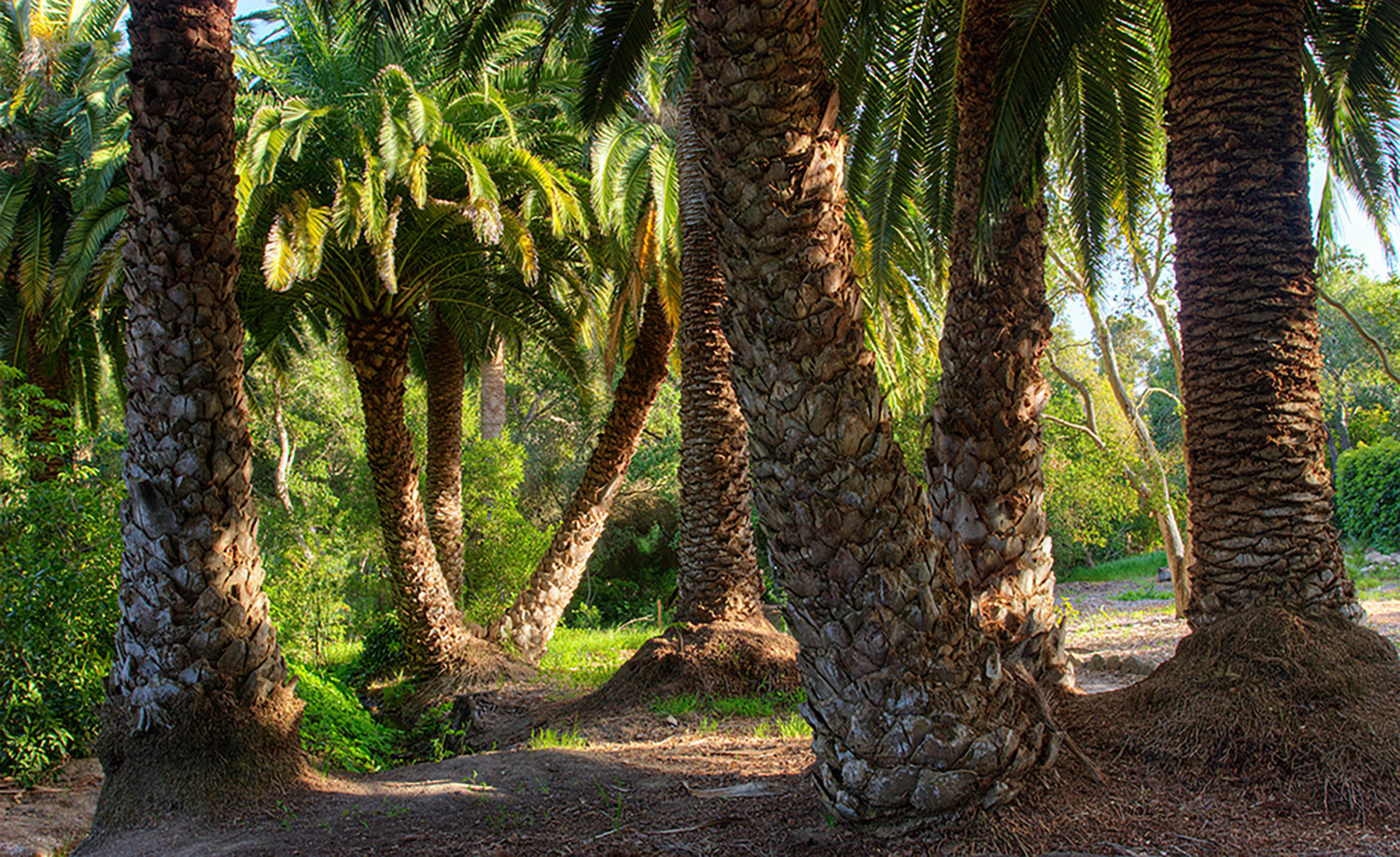 Spanish Style Property Montecito Private Events