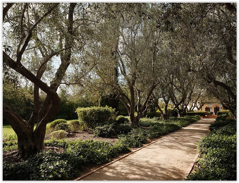 C199-BA Olive Garden Pathway