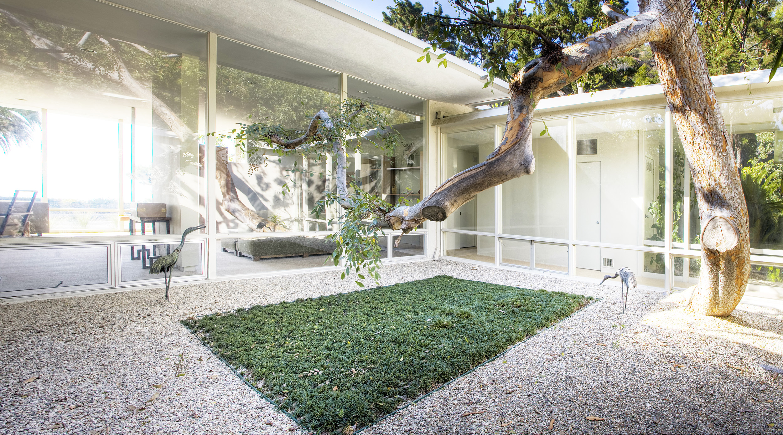 Enclosed courtyard with mature tree at Beverly Hills mid-century estate